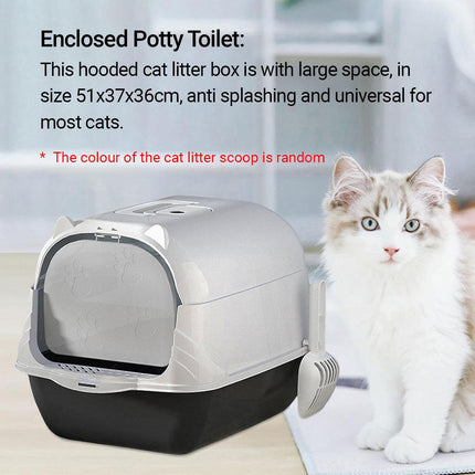 Pet Care Cartoz.