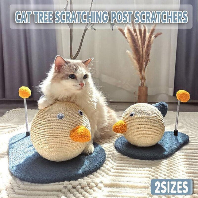 Pet Care.