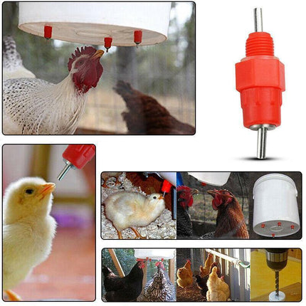 10 PCS Automatic Nipple Water Valves for Poultry and Duck Feeding.