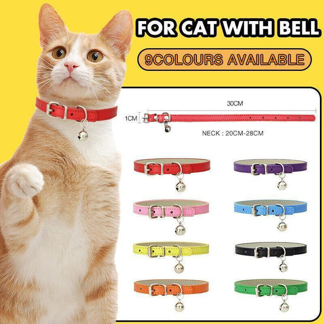 Pet Care.
