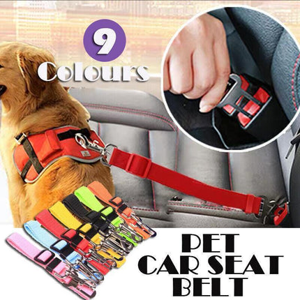 Pet Care.