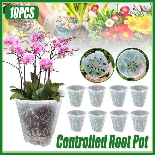 10xClear Plastic Orchid Pots with Holes for Phalaenopsis Root Aeration.