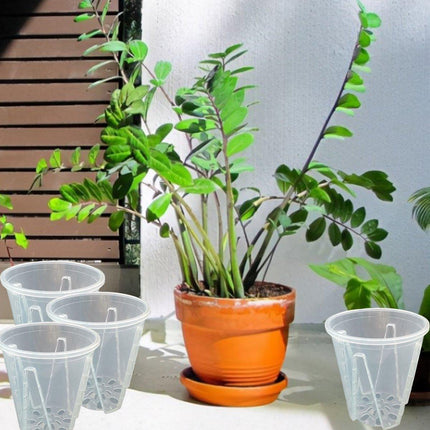 10xClear Plastic Orchid Pots with Holes for Phalaenopsis Root Aeration.