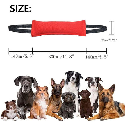 Pet Care Cartoz.