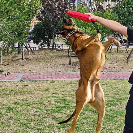 Pet Care Cartoz.