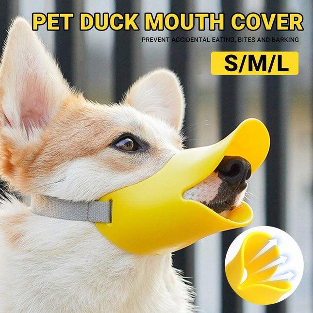 Pet Care.