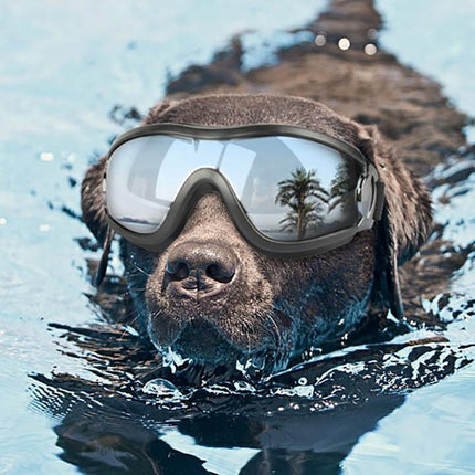 Fashion Pet Dog Doggles Goggles Uv Sunglasses Sun Glasses Eye Wear Protection.