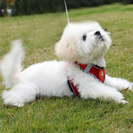 Dog Harness Cat Lead Puppy Leash Vest Mesh Breathe Adjustable Braces Small Pet Pink - XXS.