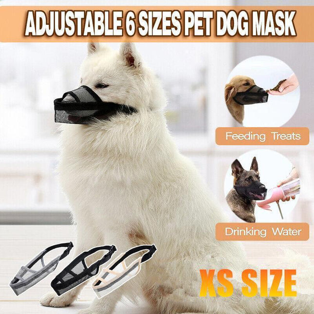 Pet Care.