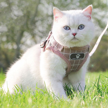 Pet Care Cartoz.