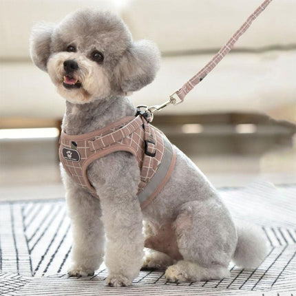 Pet Care Cartoz.