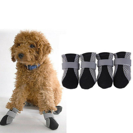 Pet Care.