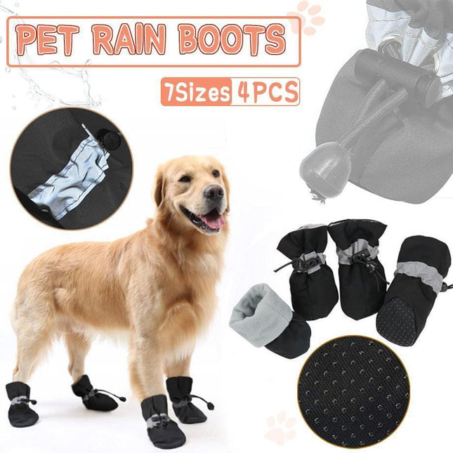 Pet Care.