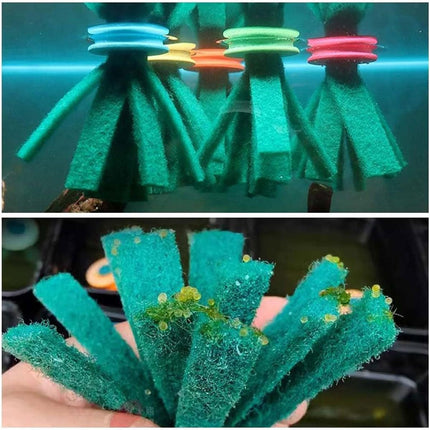 Fish Egg Collector Device Set 10PCS Floating Hanging Breeding Box Aquarium Tank.