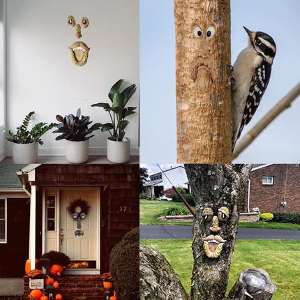 Home & Garden Cartoz.
