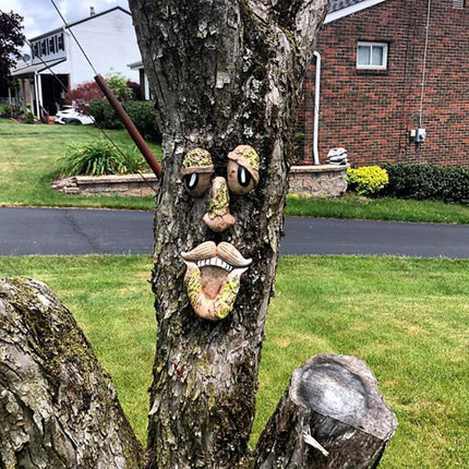 Home & Garden Cartoz.