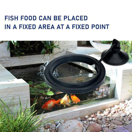 Fish Feeding Ring Aquarium Fish Tank Feeder Floating Fish Food Feeder Fish Food Black - Black Square.