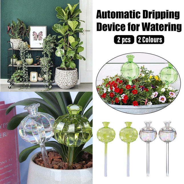 2PCS Automatic Glass Watering Cactus Plant Flower Self Drip Irrigation Tool - Green.