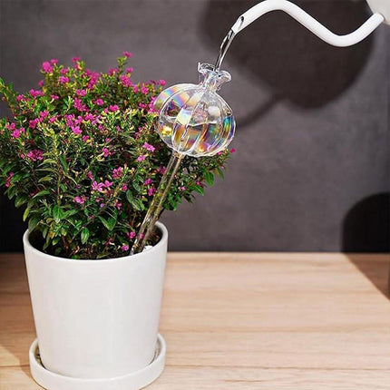 Home & Garden Cartoz.