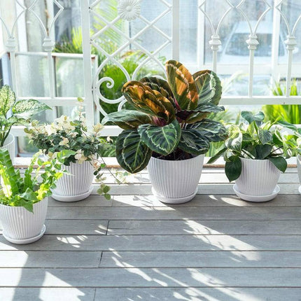 6PCS Simple Plastic Round Plant Pots Vertical Stripes Flower Pot Green Gardening - White.