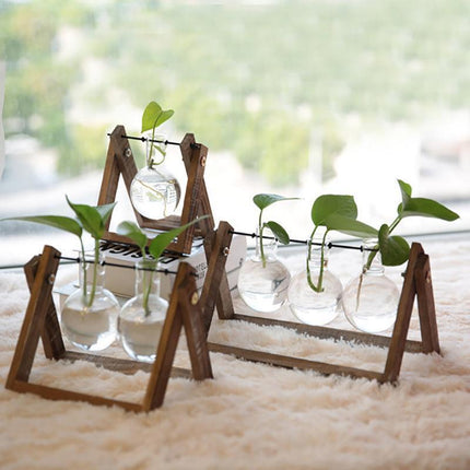 Wood Stand Glass Vase Terrarium Hydroponic Hanging Planter Home Decor - M With 2 Bottles.