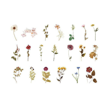 Scrapbooking Flower Stickers Pet Transparent Sticker - D.