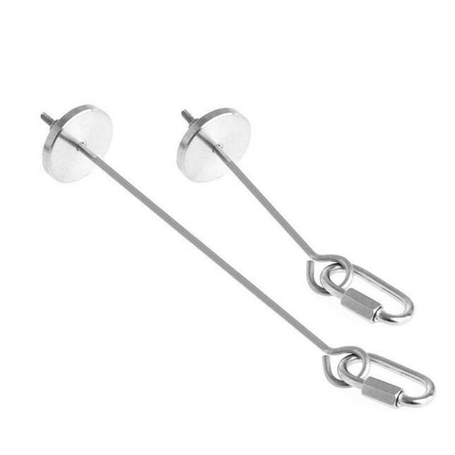 Pet Stainless Steel Bird Parrot Cage Skewer Food Meat Stick Spear Fruit Holder - 20CM.