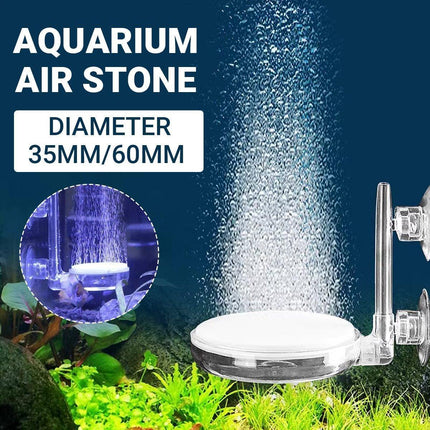 Quiet Bubble Stone Aerator Head Fish Tank Oxygen Pump Nano Air Disc Atomizer - Diameter 60MM.