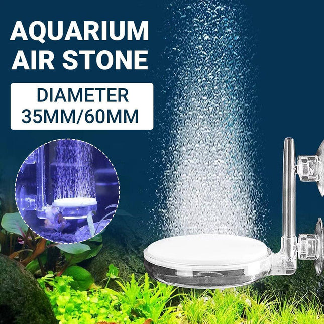 Appliances > Aroma Diffusers & Humidifiers > Aroma Diffusers.