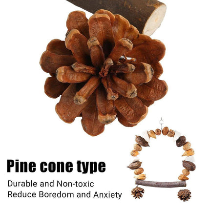 Parrot Chew Toy For Training Climbing Grinding Teeth Relief Durable Bird Toy - Pine Cones.