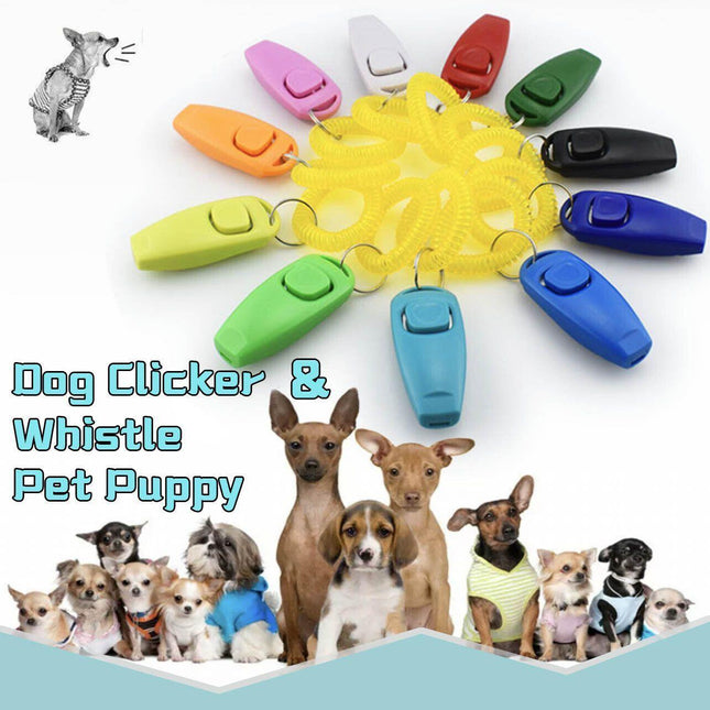 Pet Care.