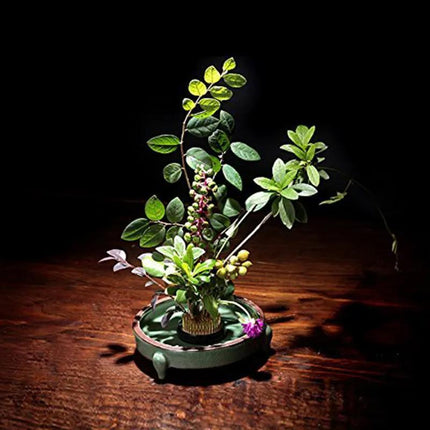 Round Flower Base Holder Spiky Frog Fixed Tool Floral Arrange For Ikebana Kenzan - 23mm.
