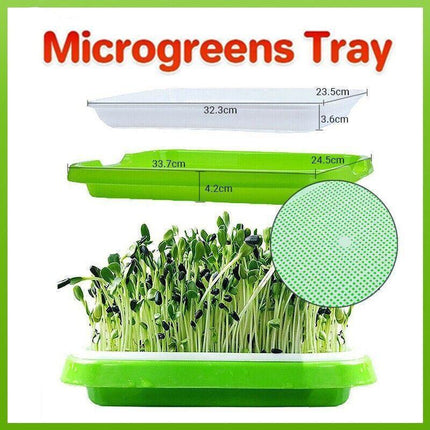 Double Layer Microgreens Tray for Hydroponic Seeding Germination Wheatgrass.