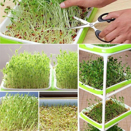 Double Layer Microgreens Tray for Hydroponic Seeding Germination Wheatgrass.