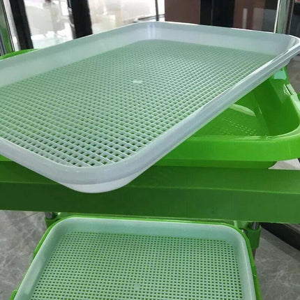 Double Layer Microgreens Tray for Hydroponic Seeding Germination Wheatgrass.