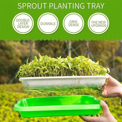 Double Layer Microgreens Tray for Hydroponic Seeding Germination Wheatgrass.