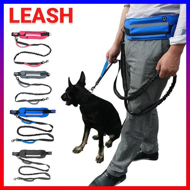Hands Free Dog Leash Adjustable Lead with Waist Belt Bag for Walking Jogging Running - Black + Blue.