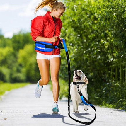 Hands Free Dog Leash Adjustable Lead with Waist Belt Bag for Walking Jogging Running - Black + Blue.