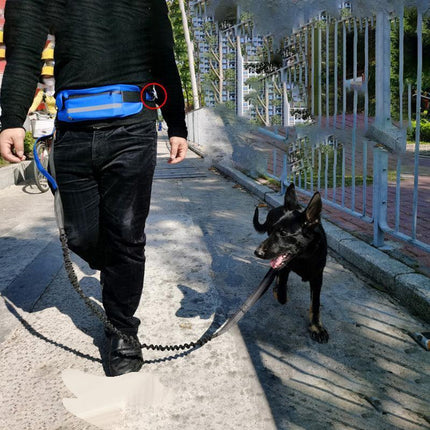 Hands Free Dog Leash Adjustable Lead with Waist Belt Bag for Walking Jogging Running - Black + Blue.