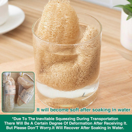 Natural Loofah Sponge Kitchen Scrubber for Dishwashing Pot Cleaning 5 Pack.