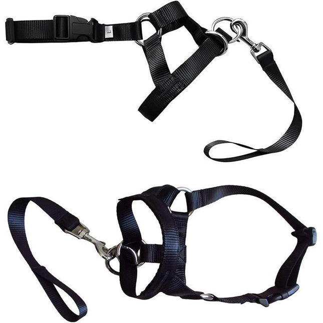 Black Dog Training Head Collar Halter Stop Pulling Training Tool Harness Strap Leader - S.