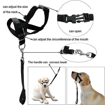 Pet Care.