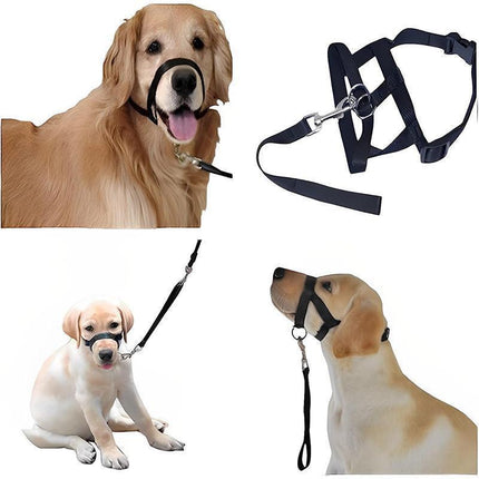 Pet Care.
