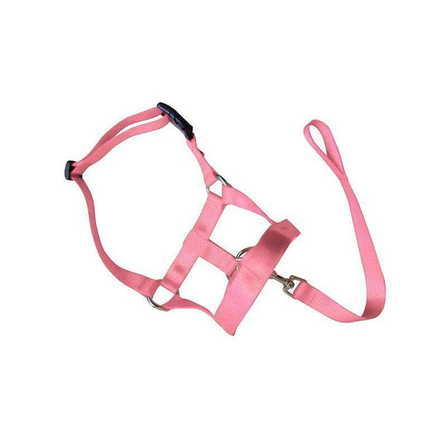 Pink Dog Training Head Collar Halter Stop Pulling Training Tool Harness Strap Leader - XXL.