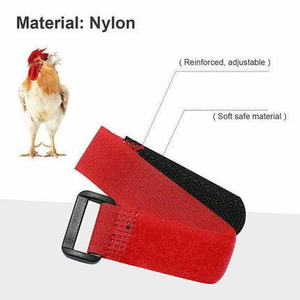 10pcs Rooster Anti Crow Collar Adjustable Nylon Neck Belt Poultry Sound Control - Red.