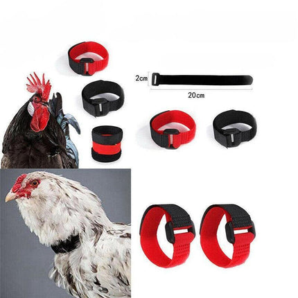 10pcs Rooster Anti Crow Collar Adjustable Nylon Neck Belt Poultry Sound Control - Red.