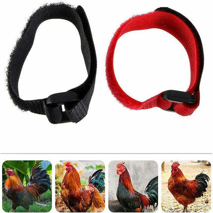 10pcs Rooster Anti Crow Collar Adjustable Nylon Neck Belt Poultry Sound Control - Red.