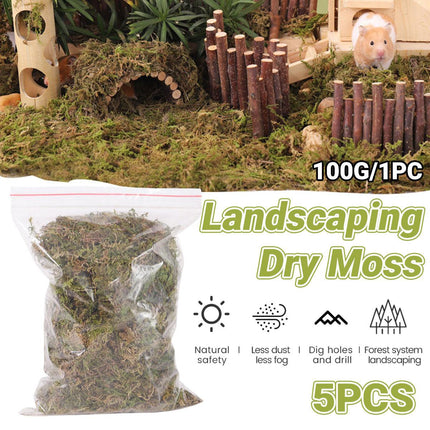 5pcs Natural Flower Grass Bedding Dried Moss Hamster Cage Decor Breeding Box.