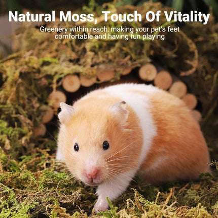 5pcs Natural Flower Grass Bedding Dried Moss Hamster Cage Decor Breeding Box.