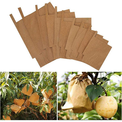 Paper Fruit Bags 100pcs Protective Bagging for Orchard Garden Harvest Storage.